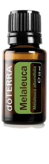 dōTERRA Melaleuca ätherisches Öl